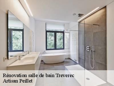 Rénovation salle de bain  treverec-22290 Artisan Peillet