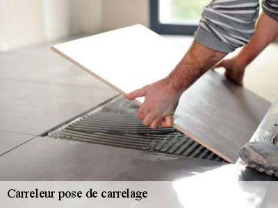 Carreleur pose de carrelage  22230