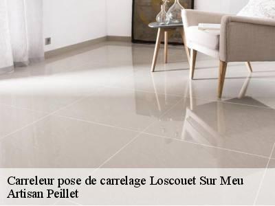 Carreleur pose de carrelage  loscouet-sur-meu-22230 Artisan Peillet