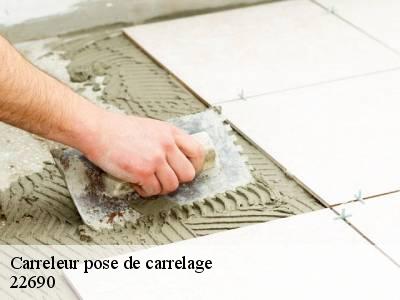 Carreleur pose de carrelage  22690